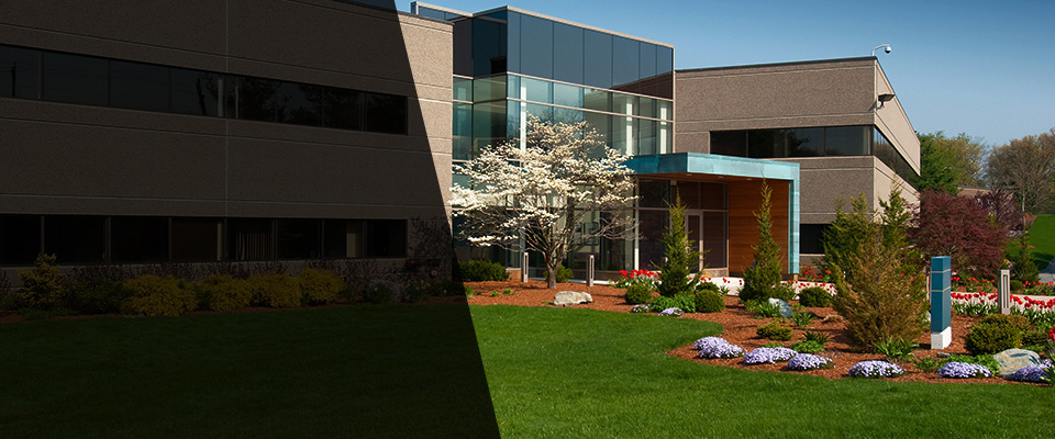 Marstons Mills Landscapers