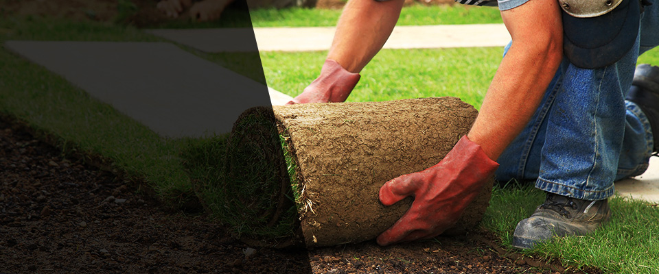 Marstons Mills Landscapers